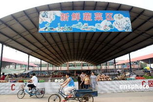 食用農(nóng)產(chǎn)品價格迎兩月來首次回落 市場供應(yīng)趨穩(wěn)信號顯現(xiàn)