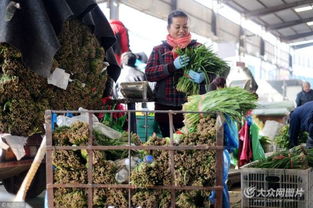 濟(jì)南憑雙證才能賣韭菜 出問(wèn)題直接找源頭，食用農(nóng)產(chǎn)品批發(fā)市場(chǎng)嚴(yán)把安全關(guān)